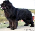 Превью фото № 6835