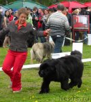 Превью фото № 68421