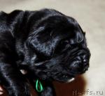 Превью фото № 6860