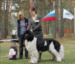 Превью фото № 68783