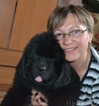 Превью фото № 68869