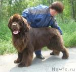 Превью фото № 689