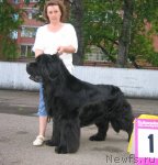 Превью фото № 69045