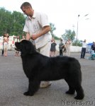 Превью фото № 69048