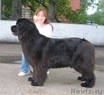 Превью фото № 69051