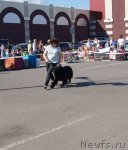 Превью фото № 69127