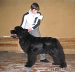 Превью фото № 6920