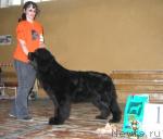 Превью фото № 6923