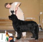 Превью фото № 6926