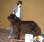 Превью фото № 6928