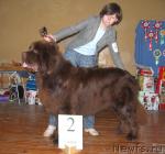 Превью фото № 6929