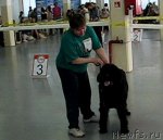 Превью фото № 69310