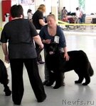 Превью фото № 69311