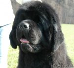 Превью фото № 69465