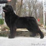 Превью фото № 6963