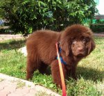 Превью фото № 69882