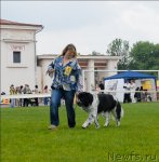 Превью фото № 70097