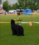 Превью фото № 70112