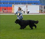 Превью фото № 70117