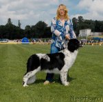 Превью фото № 70128