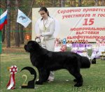 Превью фото № 70190