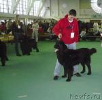 Превью фото № 7028