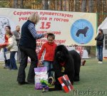 Превью фото № 70295