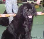 Превью фото № 7030