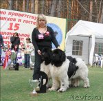 Превью фото № 70314