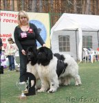 Превью фото № 70315