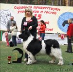 Превью фото № 70325