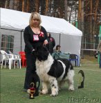 Превью фото № 70326