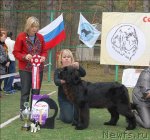 Превью фото № 70330