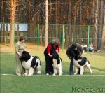 Превью фото № 70334