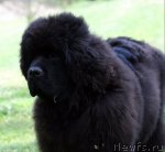 Превью фото № 70394