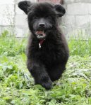 Превью фото № 70471