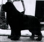 Превью фото № 70553