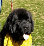 Превью фото № 70579