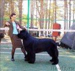 Превью фото № 70587