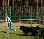 Превью фото № 70591