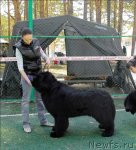 Превью фото № 70598