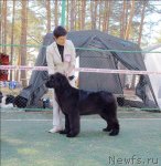 Превью фото № 70614