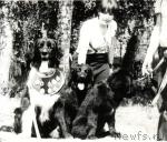 Превью фото № 7062