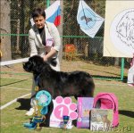 Превью фото № 70624