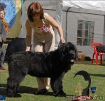 Превью фото № 70626