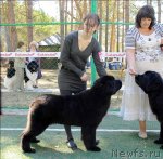 Превью фото № 70632