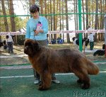 Превью фото № 70644