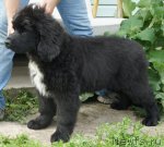 Превью фото № 70717