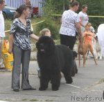 Превью фото № 71013