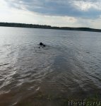 Превью фото № 71065